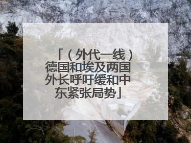 （外代一线）德国和埃及两国外长呼吁缓和中东紧张局势